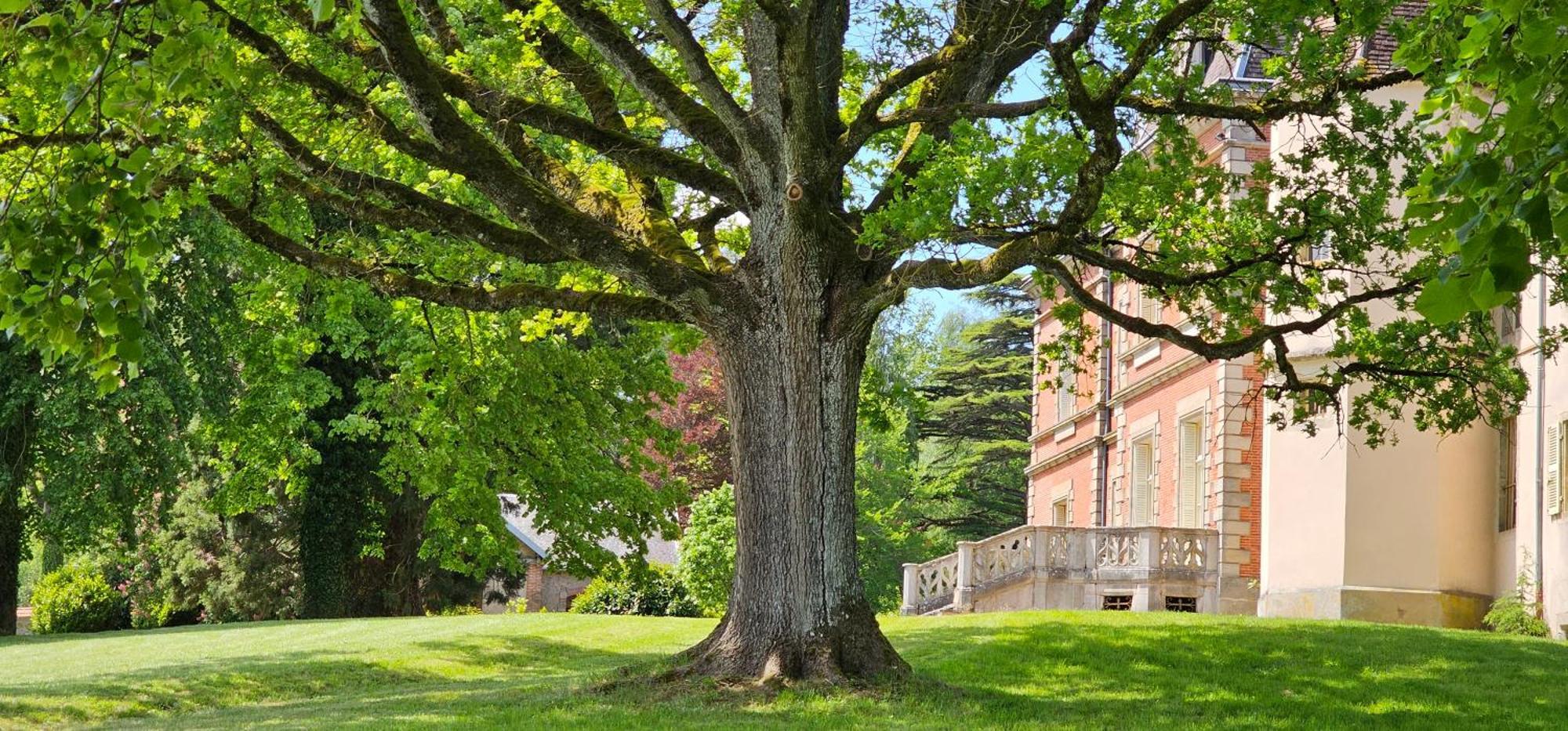 Chateau De Montpatey Bed and Breakfast Couches Buitenkant foto